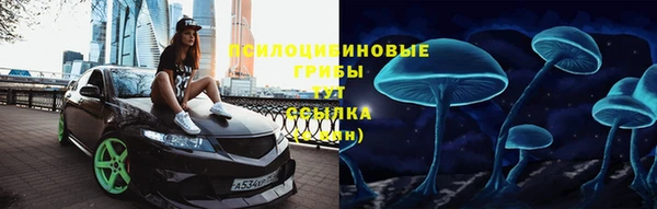 дживик Новокубанск