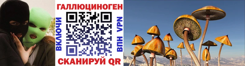 Псилоцибиновые грибы ЛСД  Златоуст 