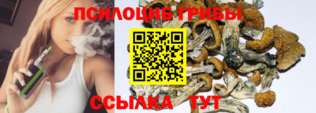 даркнет сайт  Псилоцибиновые грибы Psilocybe  Вход с VPN  Златоуст 